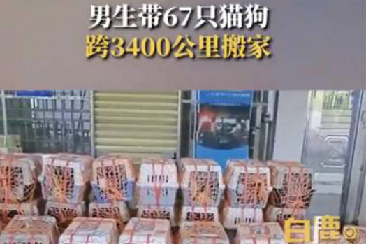 一位男生的爱心之举 带67只猫狗跨3400公里搬家