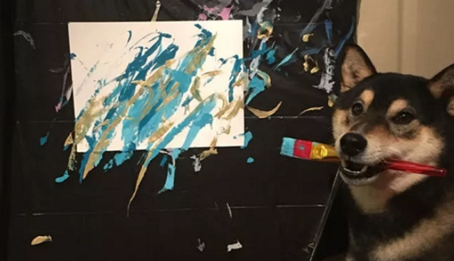 柴犬学会画画,还为主人赚了3万多,结果还供不应求