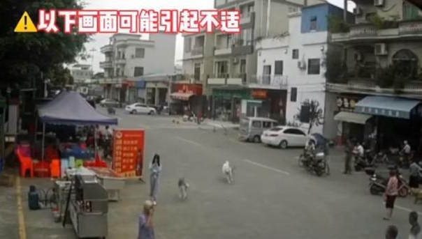 “佛山女孩遛狗拖倒老人后逃跑”事件,后续来了:老人已丧生