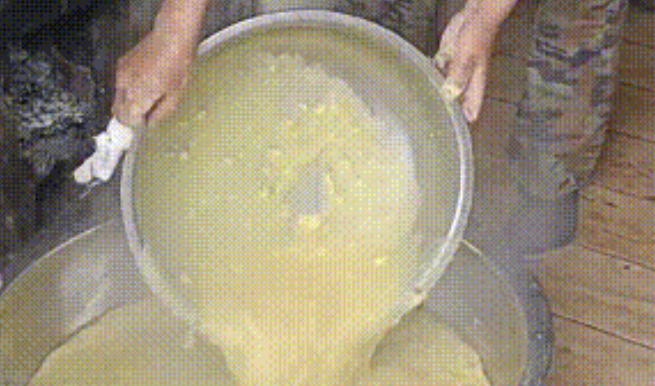 紧急求助!三百只流浪猫狗已经断粮,一起帮帮它们吧!