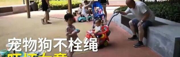 小狗猛扑小孩,主人称打疫苗就行,你怎么看呢