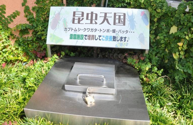 为昆虫立碑,为“电子狗”超度……宠物殡葬未来将如何发展?