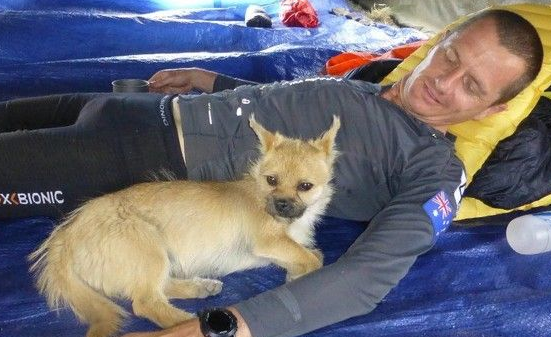 超马好手请半年无薪假 赴中国陪爱犬检疫