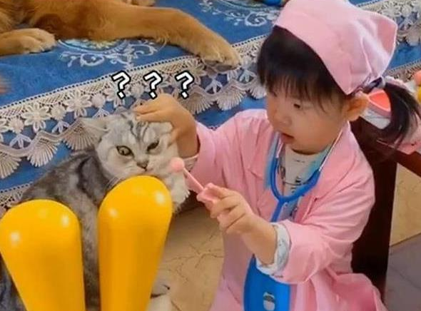 2岁女儿在家“治病救人”,看到“病人”后网友笑翻:狗子太难了