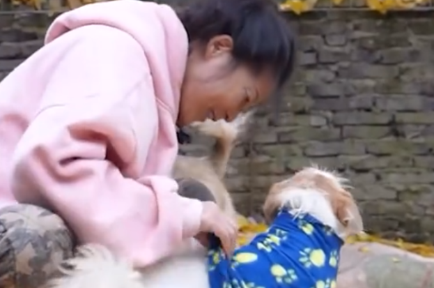 暖心!杭州一女老师救助流浪狗20年,卖掉两套房收养200多只狗