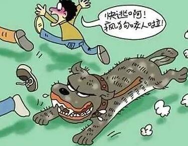注意!铲屎官别忽视了,这都是狗狗得“狂犬病”的征兆