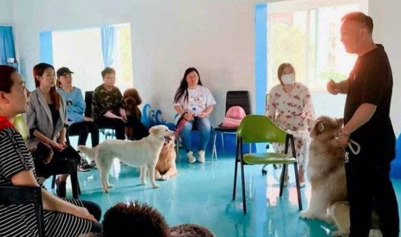 济南有了首家文明养犬宠物俱乐部