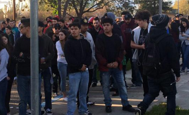 狗狗失足落入桥下，两名17岁少年为救狗，双双触电身亡