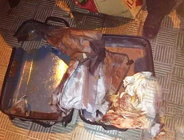 狗狗被人强行封进行李箱,当大爷撬开行李时,瞬间瞪大双眼!