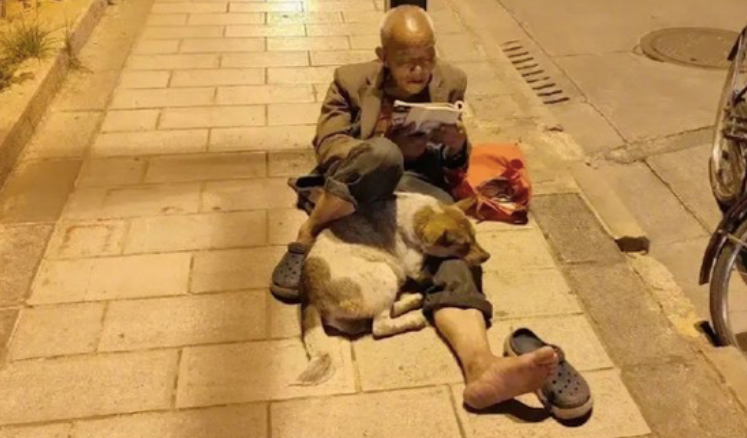 老人在道路路灯下边看书,腿边还偎依着一只小狗,一人一狗,却享余生