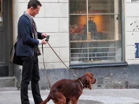 养犬新规实行,不文明养,不仅缺德还违法!