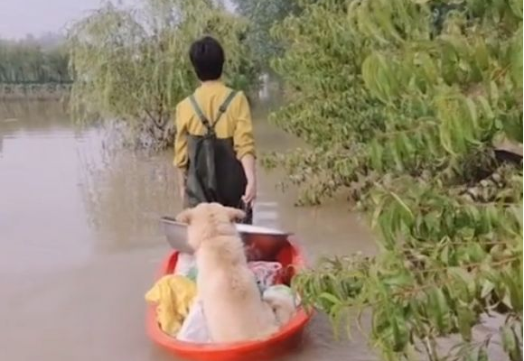 村子水淹了,女子顶风冒雨回家接狗狗,这一幕太令人动容了!