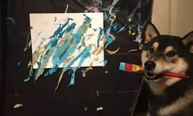 柴犬靠“卖画”为生,为主人赚了3万多,连狗都比我有才华