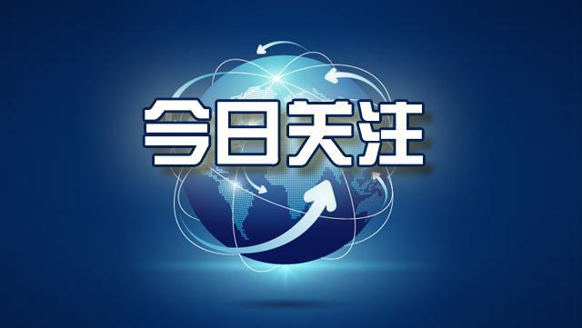 狗命比人命贵?——法律可不这么看
