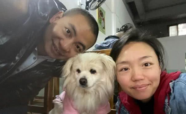 小白狗子宫脓从发现至手术成功主人的心路历程状态风雨后见彩虹