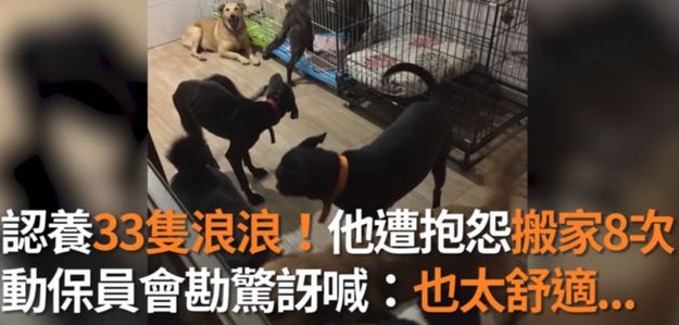 养了33只狗被投诉,可工作人员进屋一看非常惊讶:这也太舒适了吧!