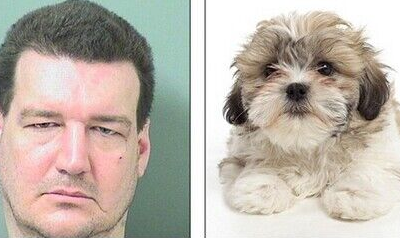 一男子虐待狗狗至重伤 左眼已失明