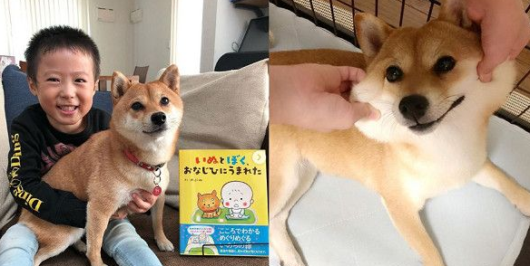 豆柴迎接爸妈反差举动 网友直呼好现实的狗