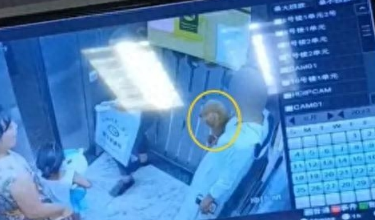 “向我的狗道歉!”不栓狗绳的狗主人,在电梯里因宠物狗被叫“畜生”怒了?