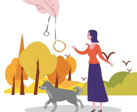 【遛狗拴绳】拴的不只是文明,也是责任、更是安全!