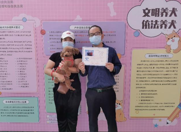 铲屎官和狗狗“相亲”,收治中心亮相……第三届深圳爱犬日来了