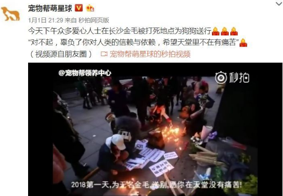 长沙辅警当街虐狗事件持续发酵,当事人反被人肉送菊花