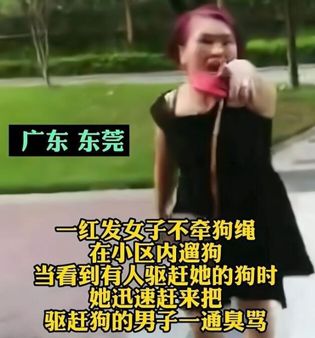真是嚣张！遛狗不拴绳还有理了？还叫嚣“喊老公带人来弄死他”