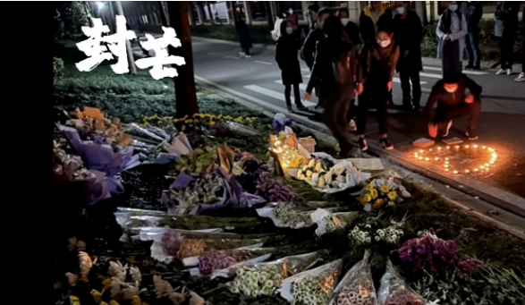 遛狗不牵绳闹出人命后,“凶手”哪去了?后续出乎所有人意料