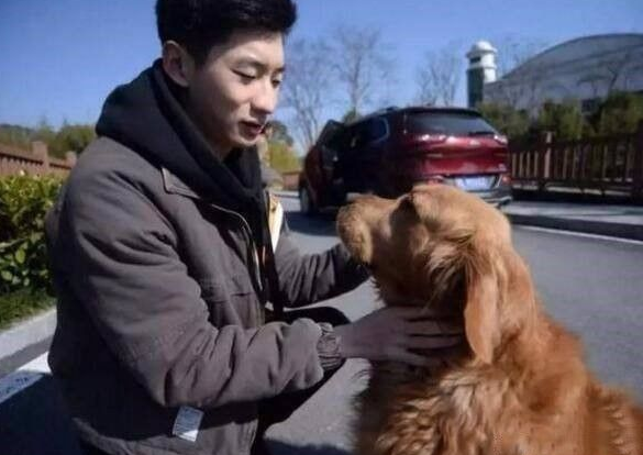 小伙子解救将要被宰的狗狗,救命恩人狗狗永生难忘!