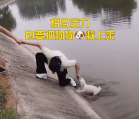 小狗掉入冰冷河中，主人撕心裂肺的呐喊着，而有人却这样讽刺她…