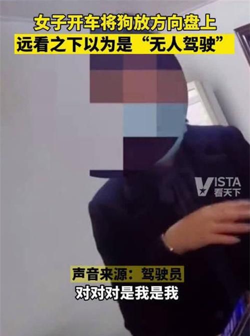 温州一起爱狗人士让狗开车引发的荒唐闹剧