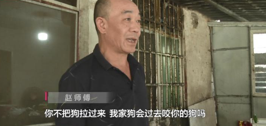 贵阳街边放养大狗不拴绳 闯祸后主人竟这样说