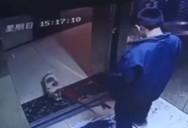 “男孩偷走宠物狗用电梯夹死”后续,多个细节曝光,家长再惹众怒