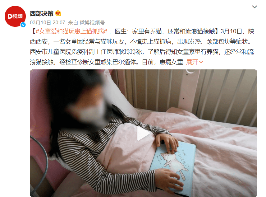 年轻妈妈被不牵狗绳的男主人殴打至骨折!