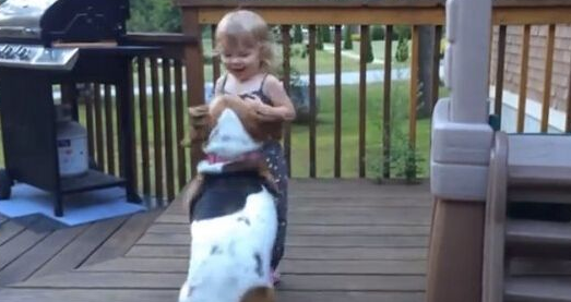 巴吉度猎犬挥动“小短腿” 邀请小主人共舞