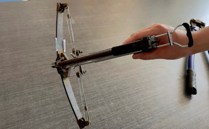 哥俩开套牌车偷狗 三年作案数十起获利数万元