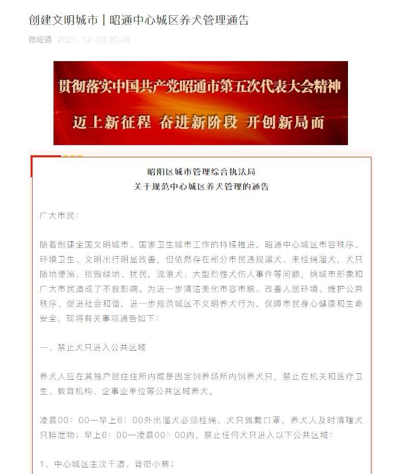 遛狗仅限凌晨,还要给狗戴口罩?云南昭通回应“最严遛狗令”