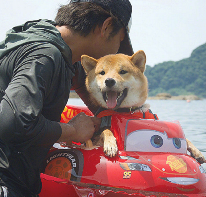 男子带柴犬飘流，本认为它会担心，結果狗狗的神情太搞笑了