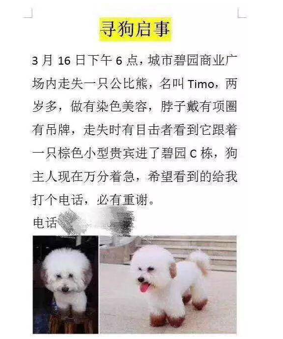 女子捡到狗向主人索要4500元，被曝光后称：等着给它收尸吧！