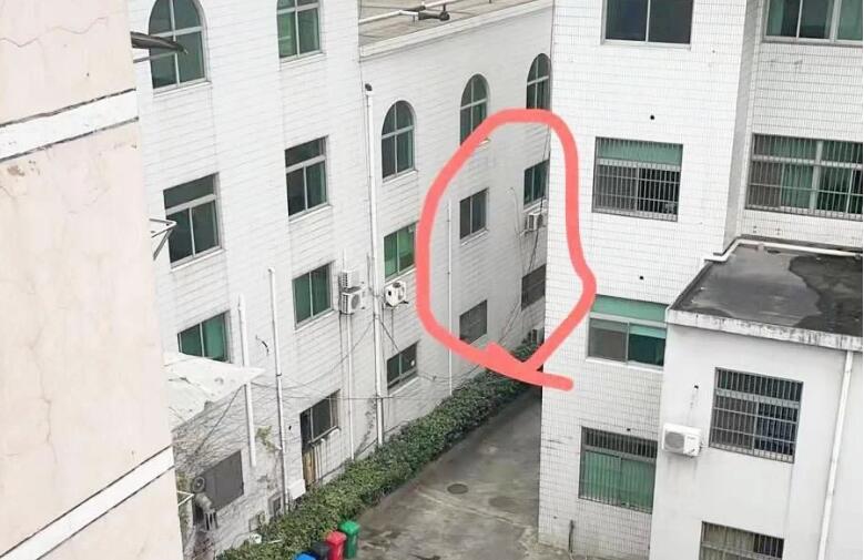 深夜传来狗吠声 宠物医院扰民数月?