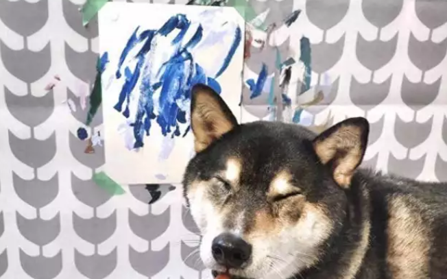 柴犬靠“卖画”为生,为主人赚了3万多,连狗都比我有才华