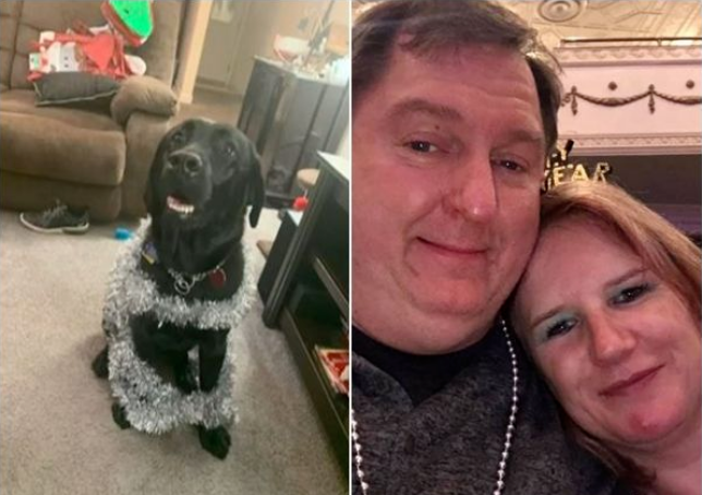 纽约视障女花15年等到心爱导盲犬,训练师竟把狗“忘在车上5hrs”热死