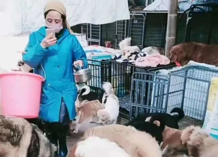 愿做菩萨那朵莲：她孤身一人，18年收留180条流浪狗……