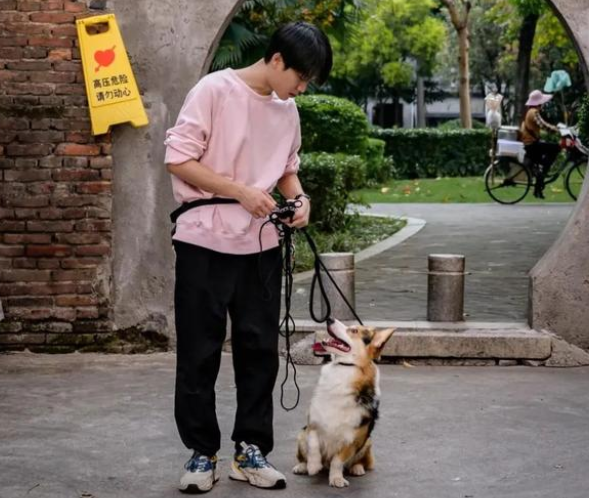 组车队上街寻狗 重情重义