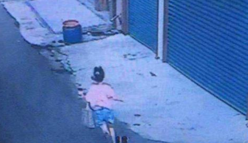 12岁女童被黑狗狂吠追90米,女孩活活被吓死,狗主人赔180万
