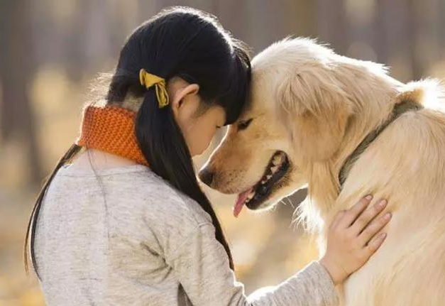 她曾是“古装第一美人”,却被叶璇的狗咬伤,整容五次仍无法翻身