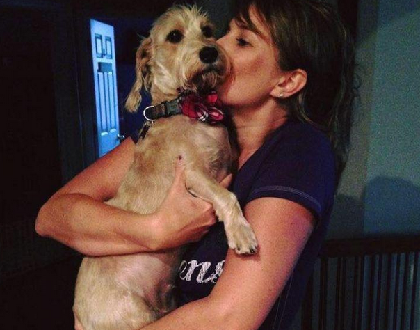 流浪犬汽车上出现意外孕妇分娩,夫妻帮它助产,6只讨人喜欢的小狗圆满出世!