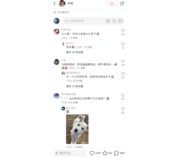 郑恺分享小狗大小姐现状,前后差别太大...