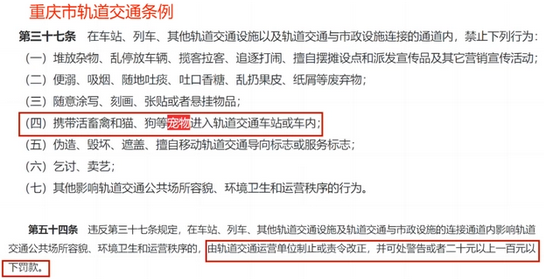 重庆可以带上狗狗乘坐公交车和地铁吗?是否有权拒绝我乘车吗?