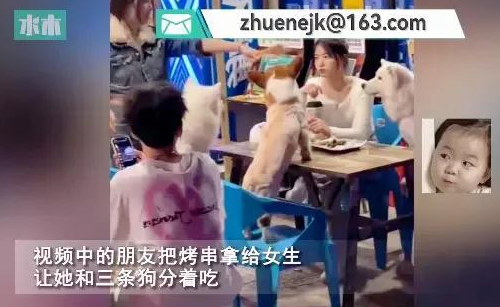 女生不喝酒被安排和狗坐一桌，无可奈何喂狗烤串，爆笑